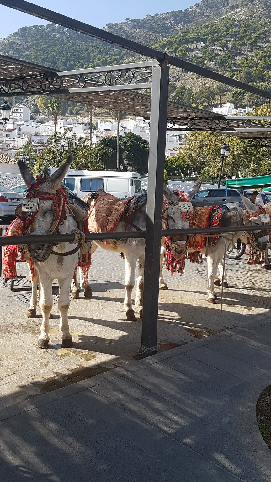 WEB 20190222 151534 008