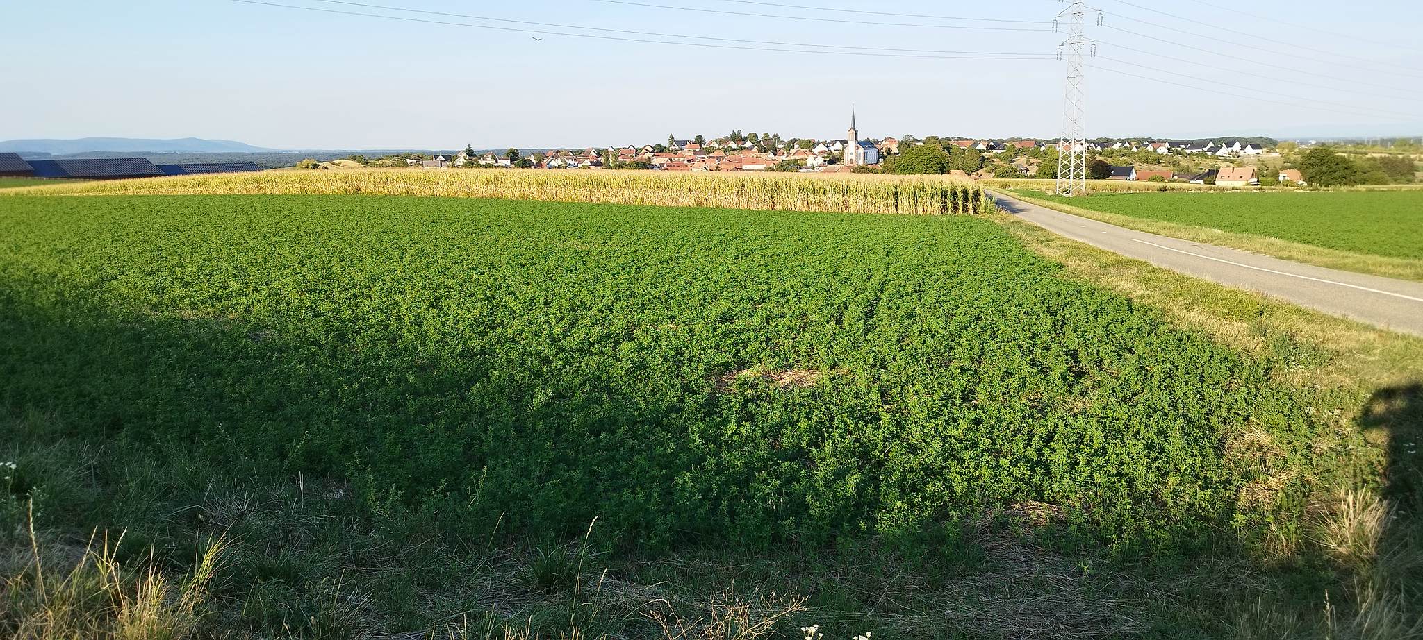 WEB IMG 20220823 191138