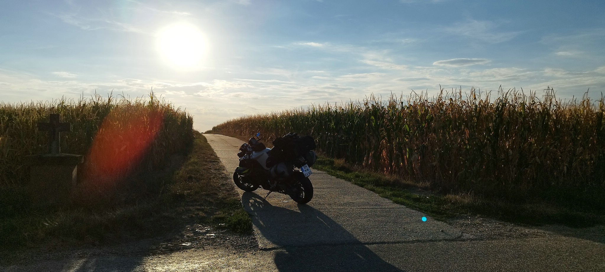 WEB IMG 20220823 191200