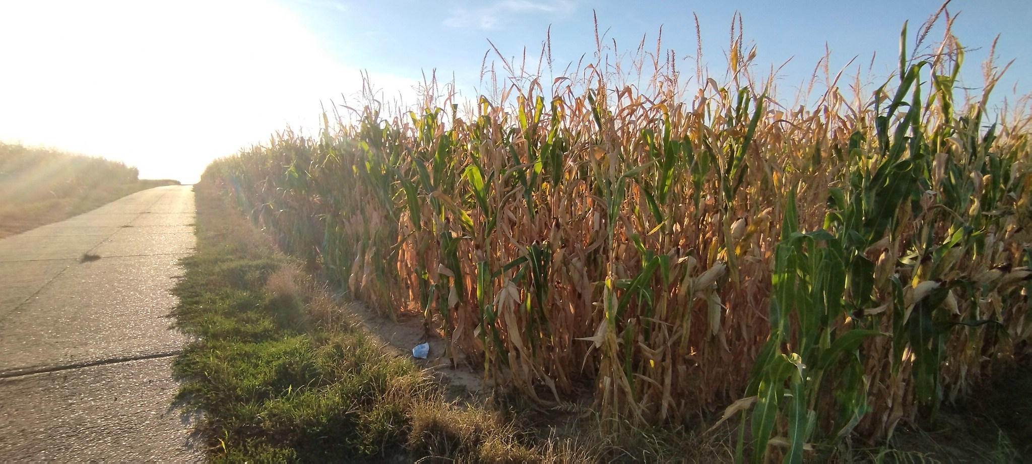 WEB IMG 20220823 191424