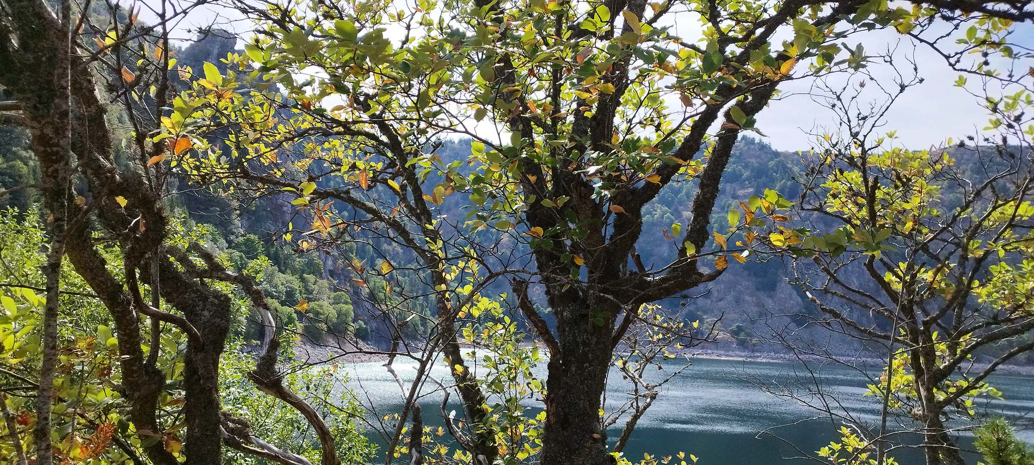 WEB IMG 20220824 161513