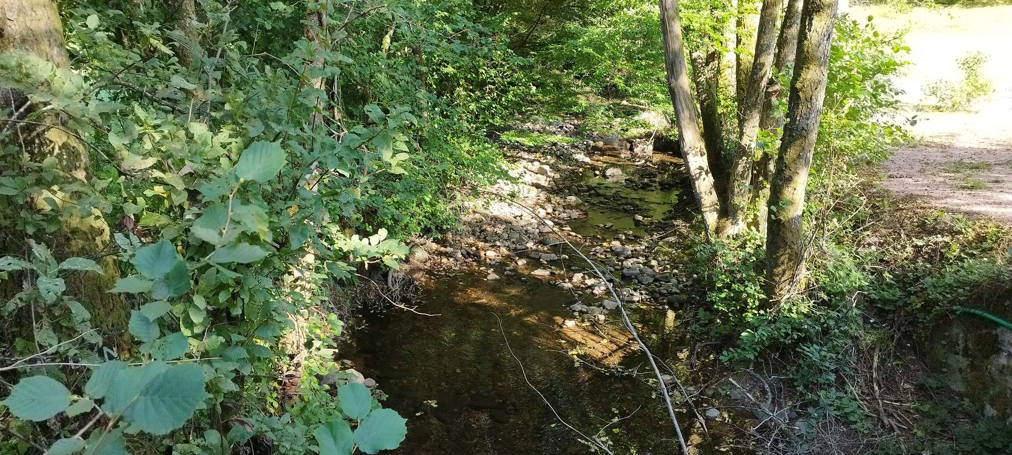 WEB IMG 20220824 174348