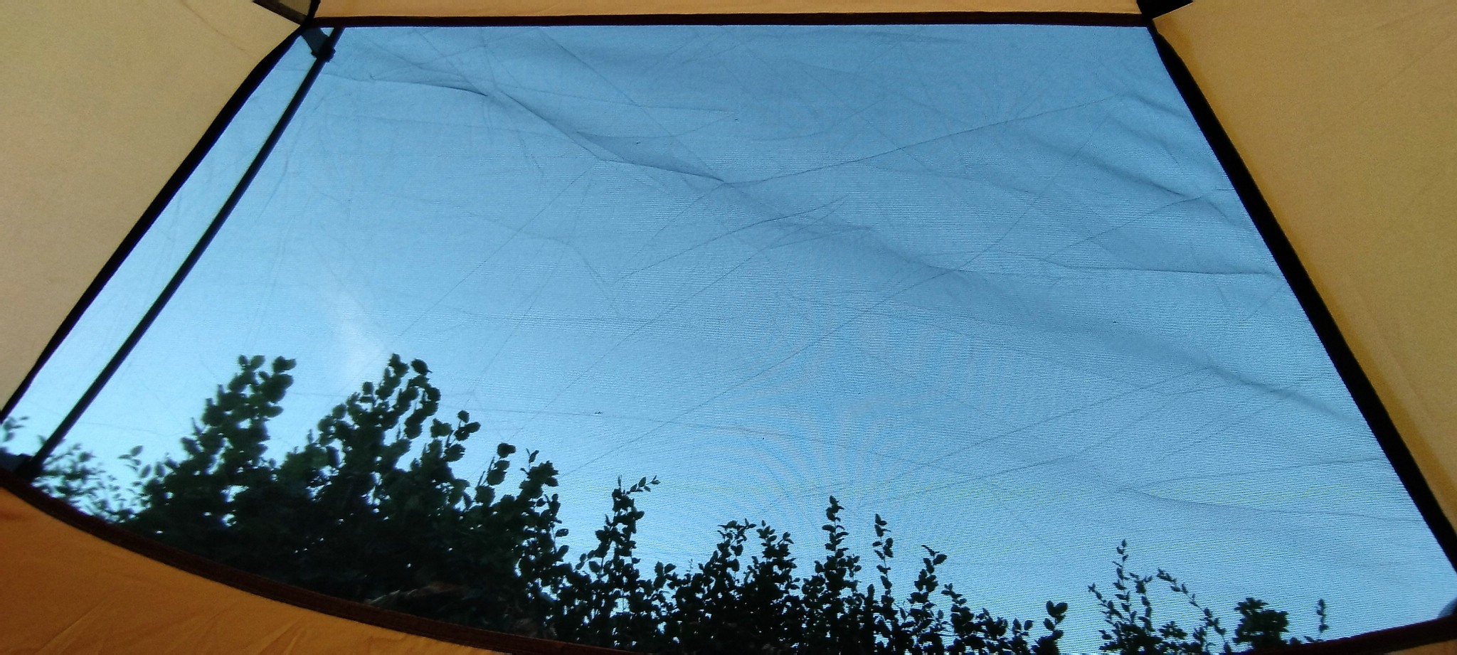 WEB IMG 20220825 064538