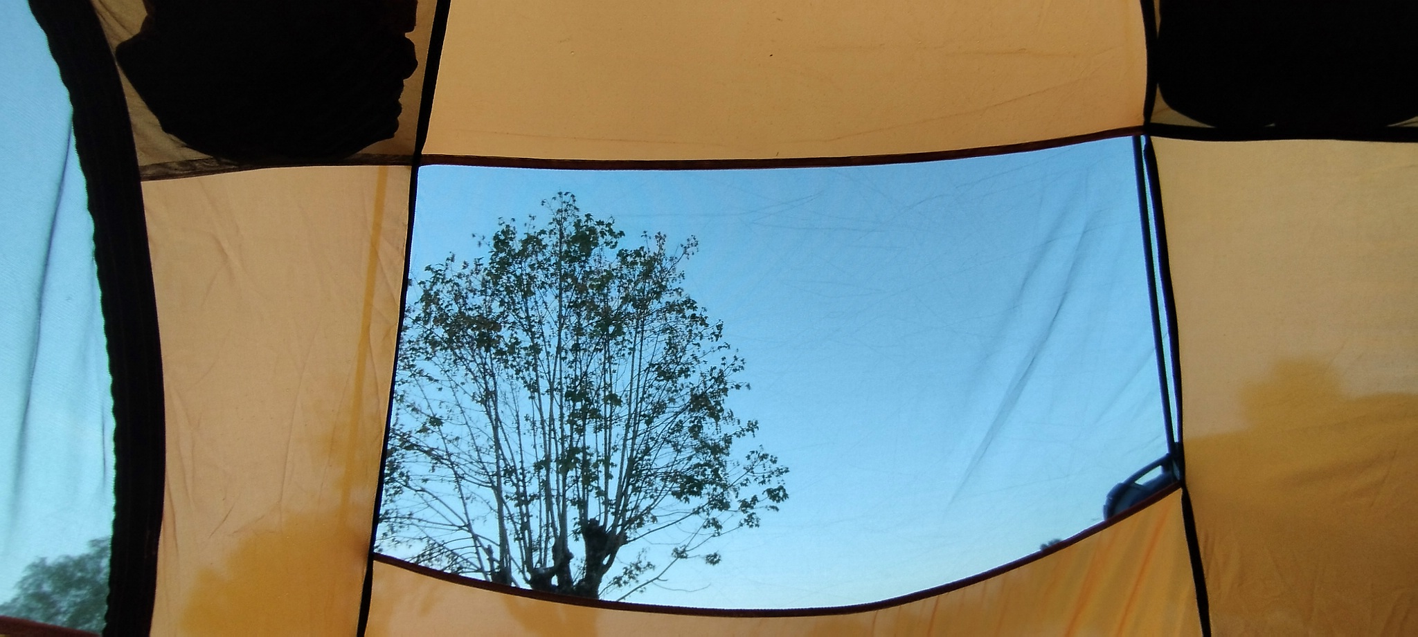 WEB IMG 20220825 064545