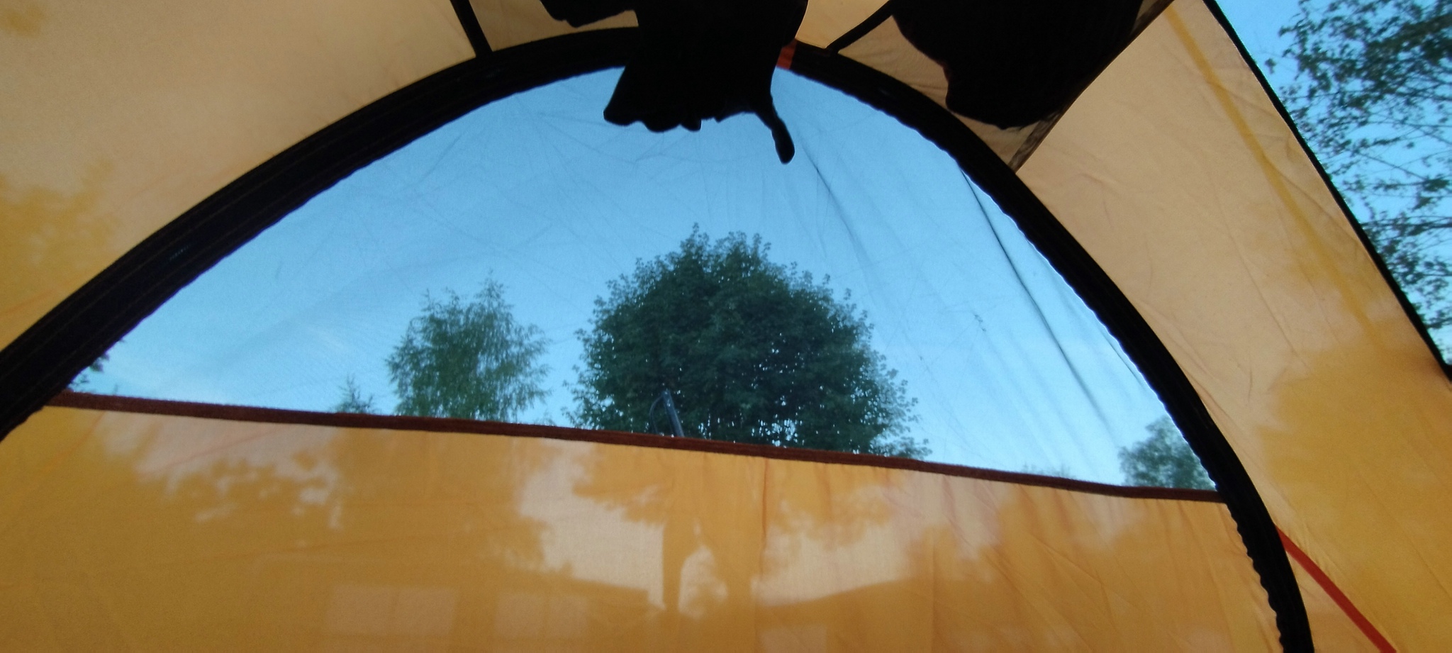 WEB IMG 20220825 064549