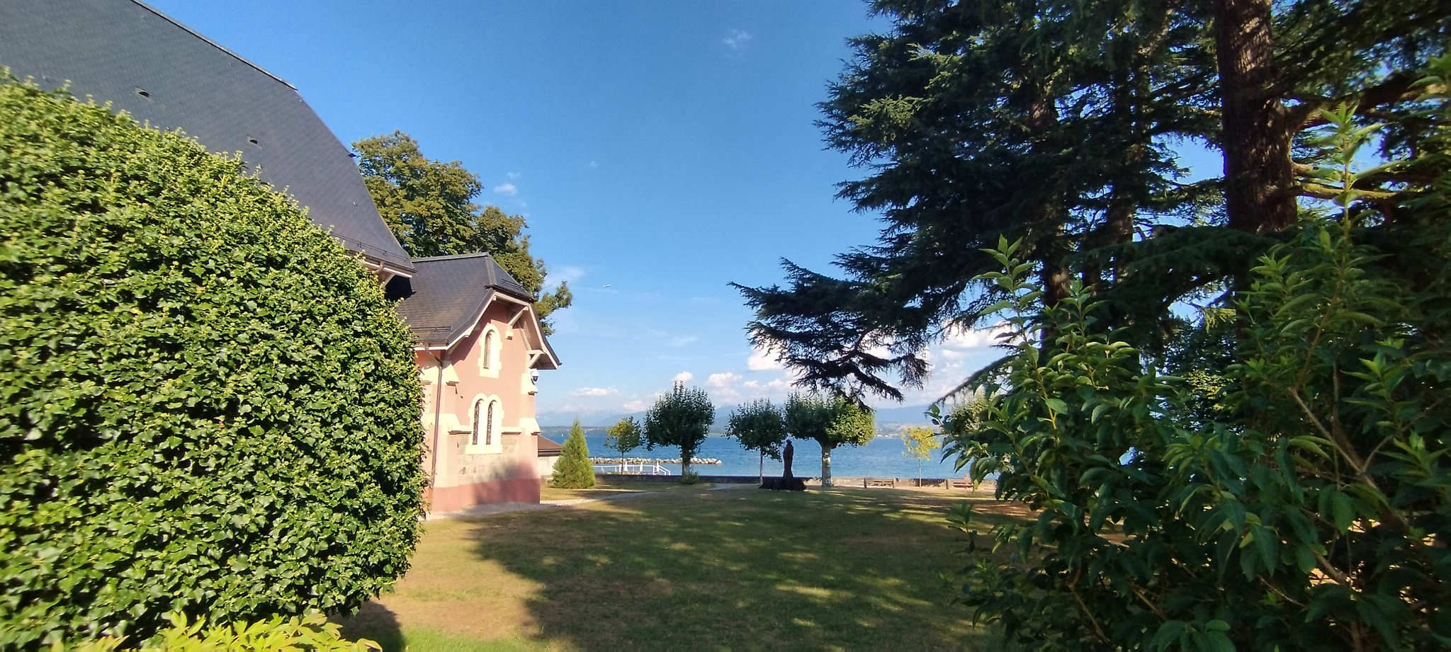 WEB IMG 20220825 172530