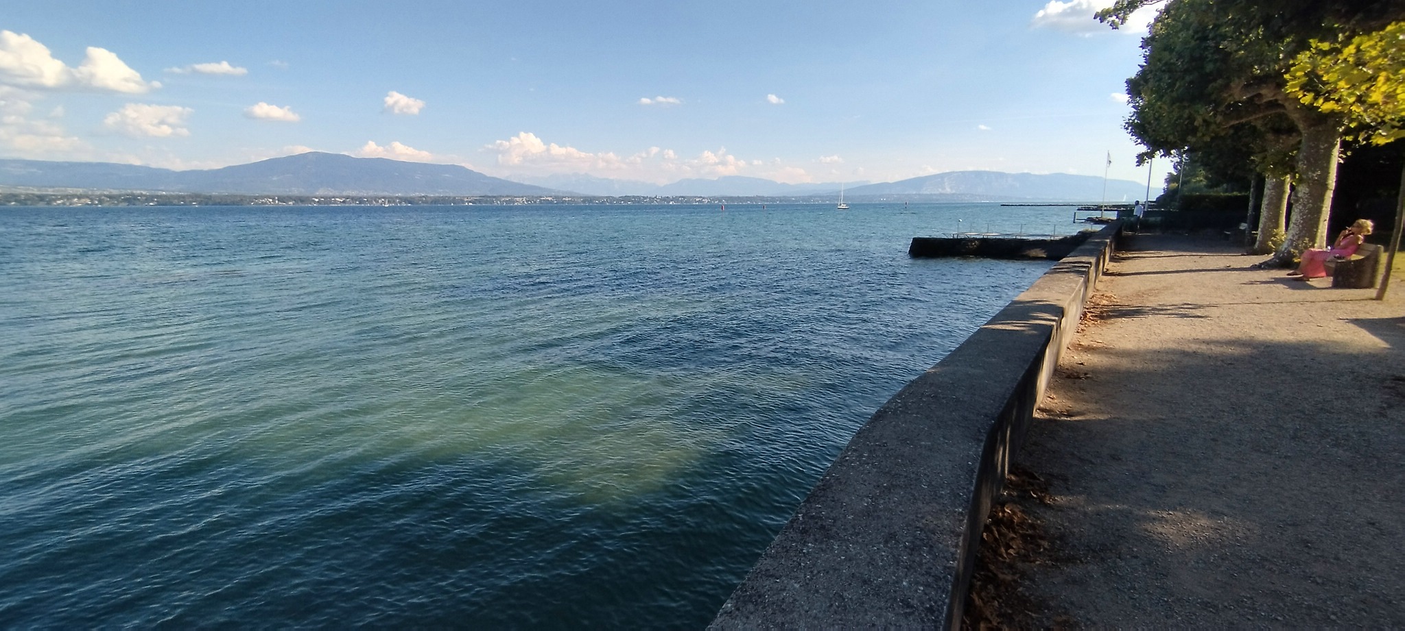 WEB IMG 20220825 172754