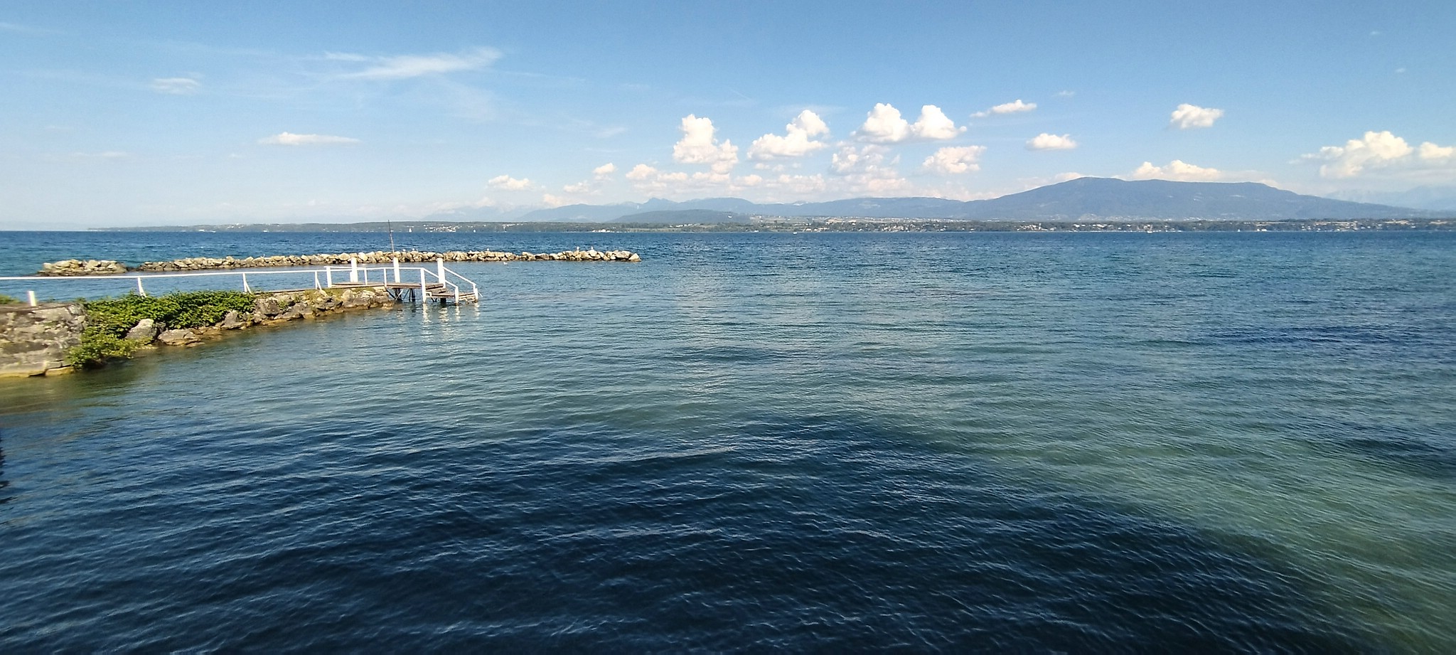 WEB IMG 20220825 172759