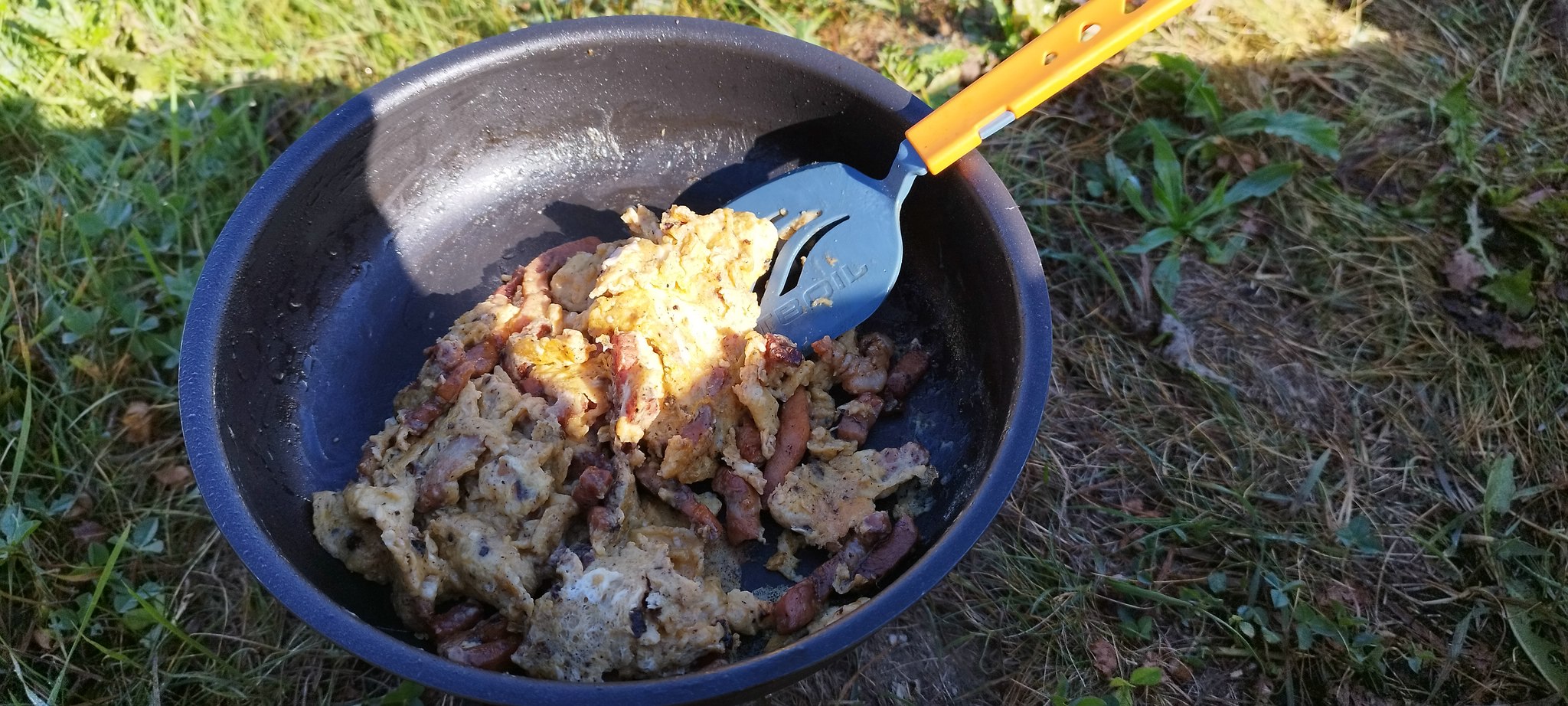 WEB IMG 20220827 094947