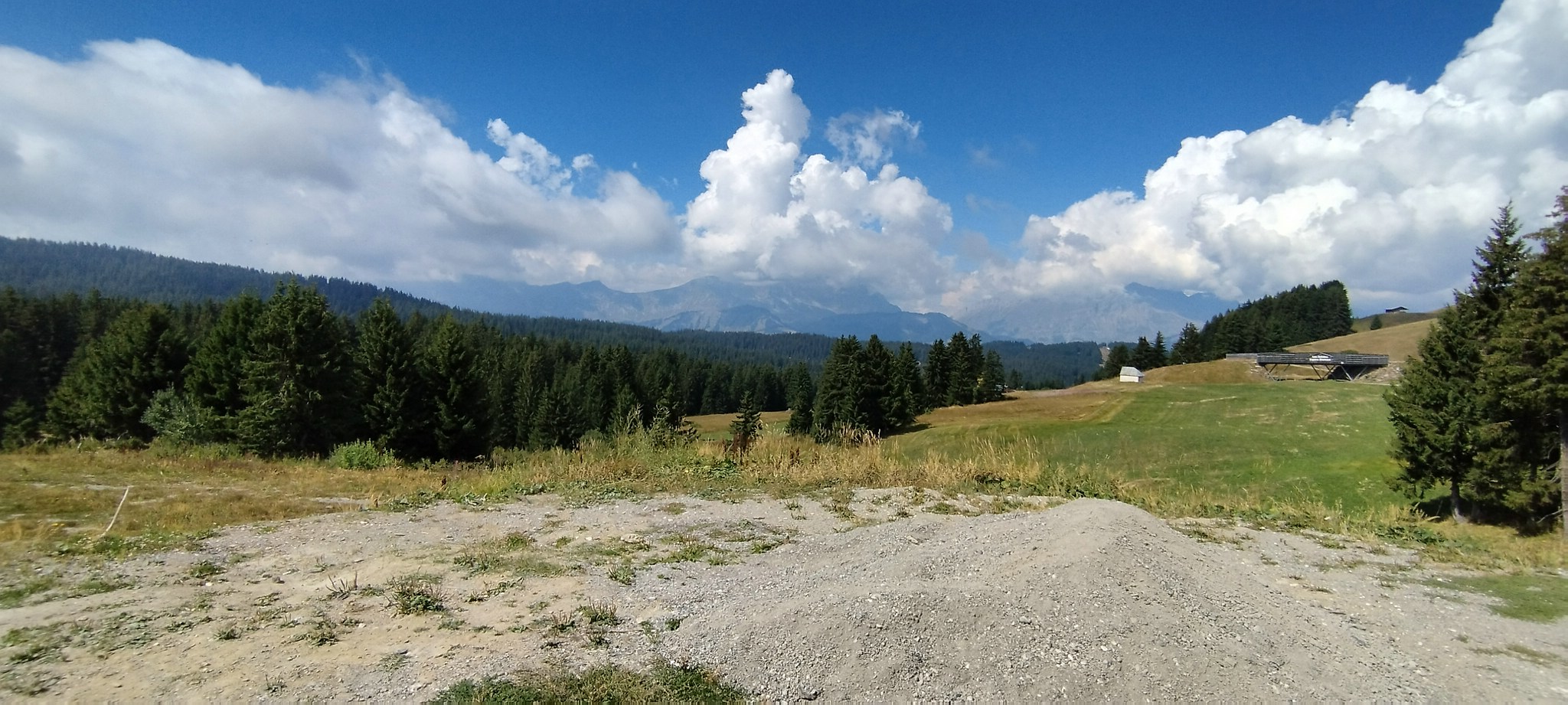 WEB IMG 20220827 143133