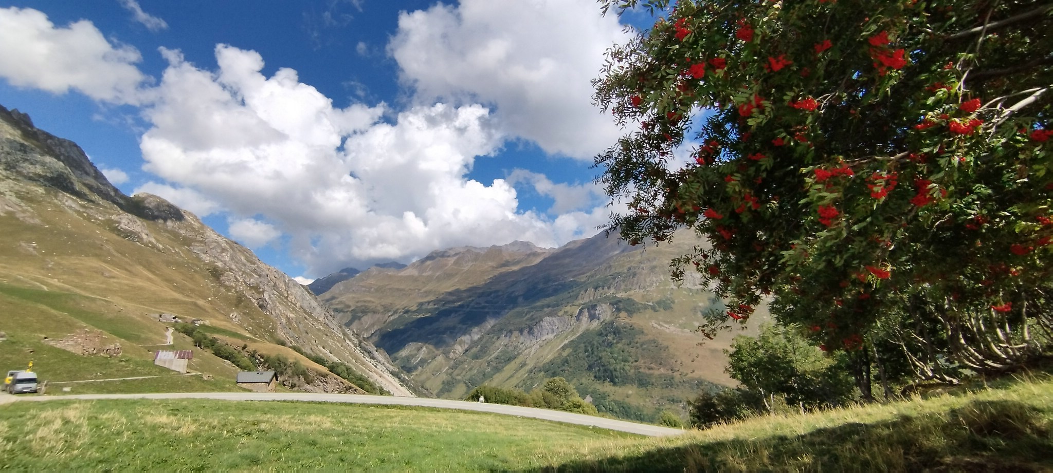 WEB IMG 20220827 153950