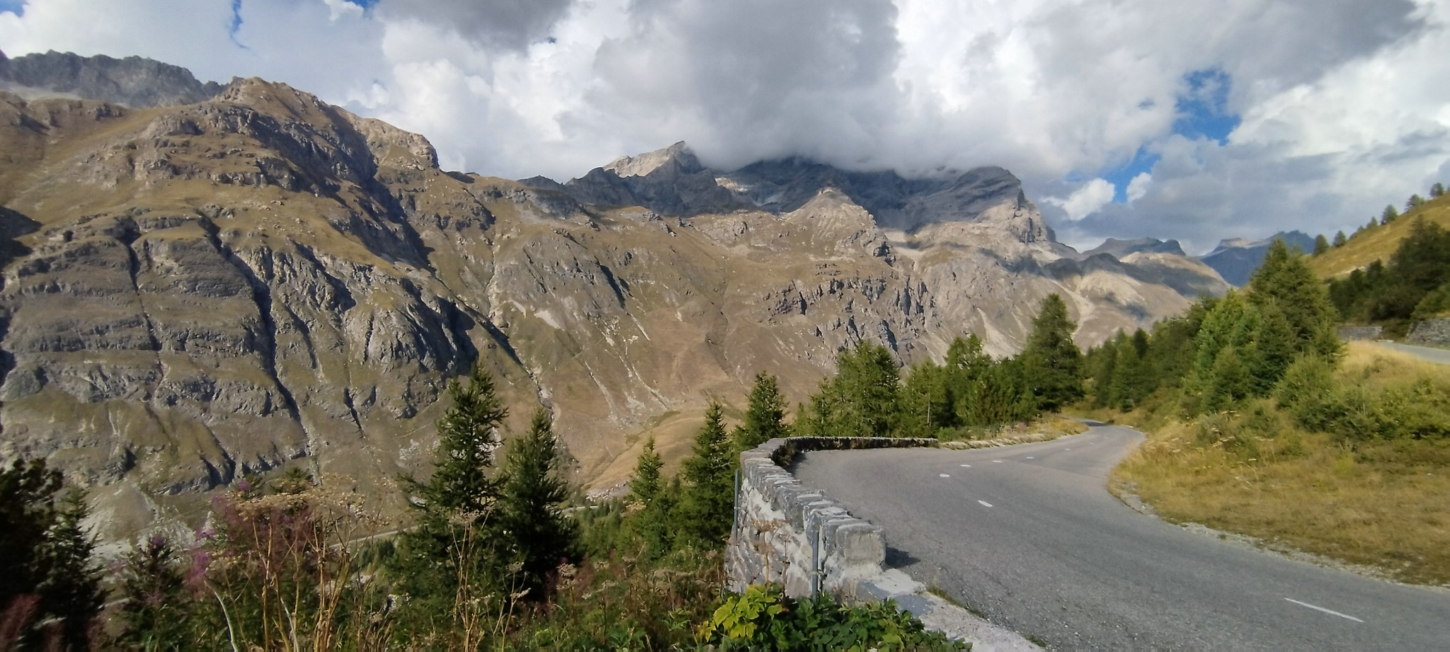 WEB IMG 20220827 172010