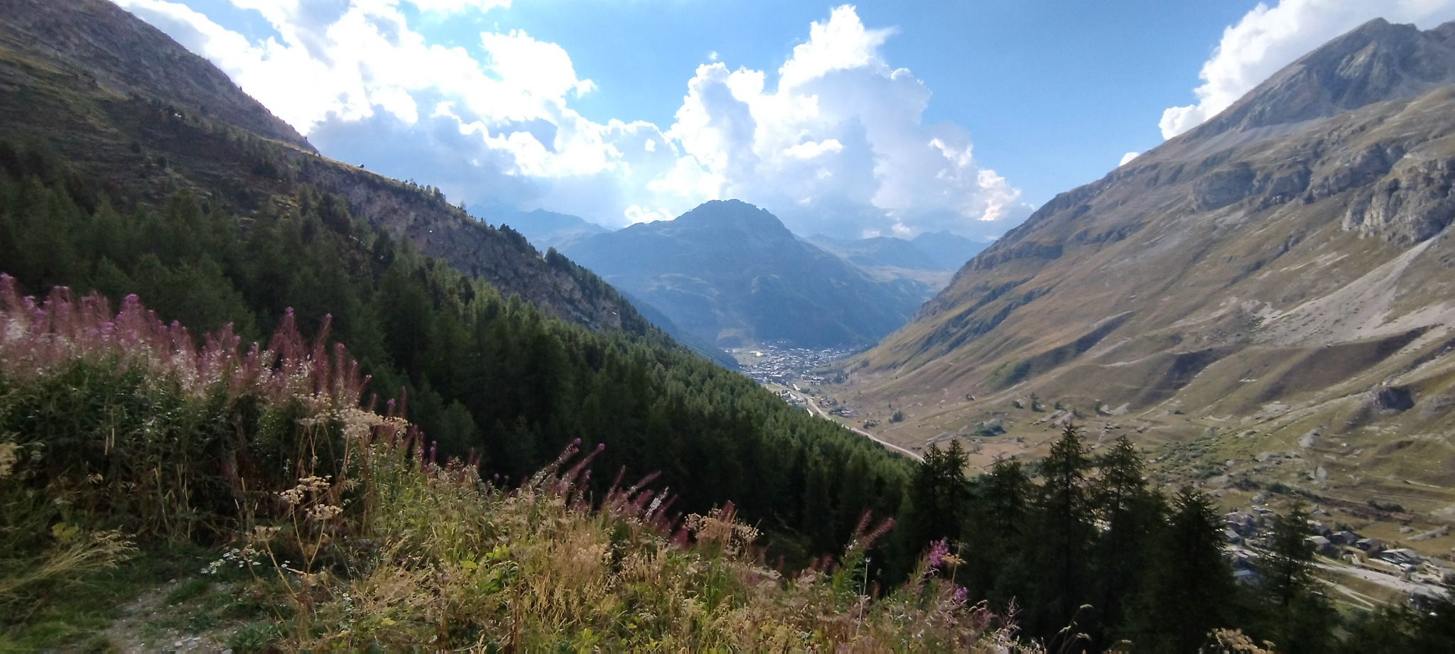 WEB IMG 20220827 172024