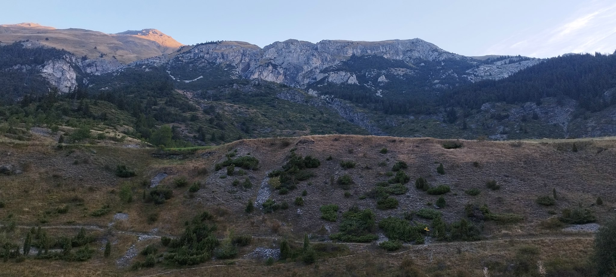 WEB IMG 20220828 070950