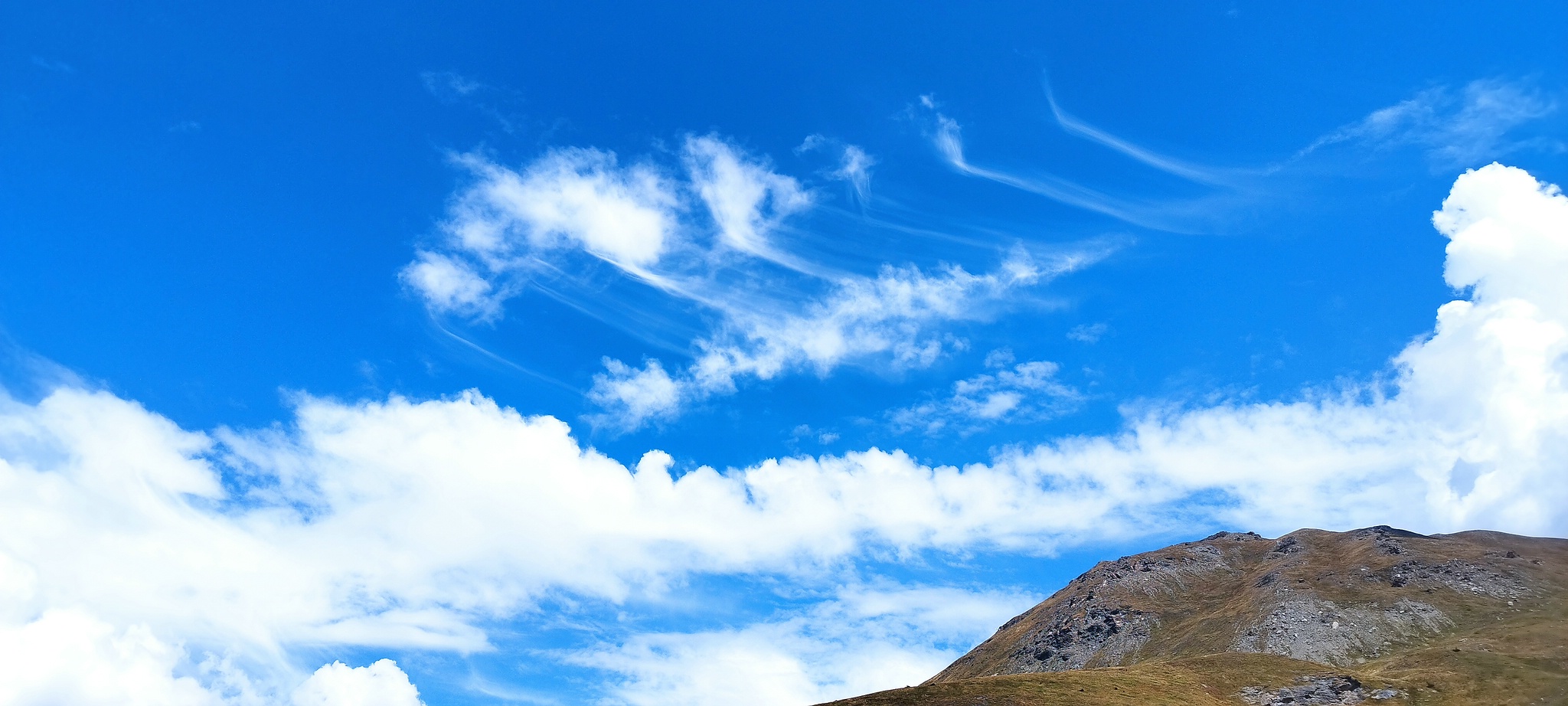 WEB IMG 20220828 140231