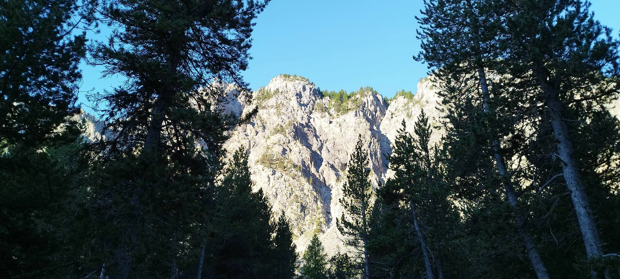 WEB IMG 20220829 074547