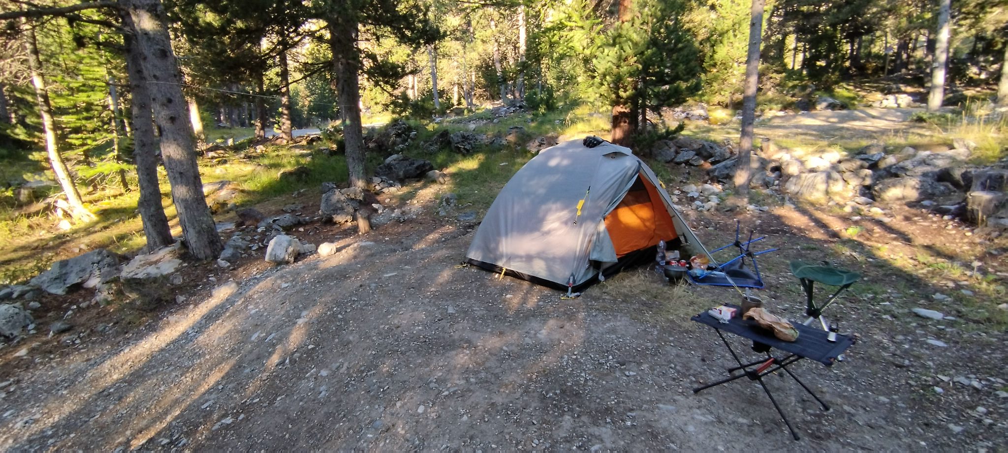 WEB IMG 20220829 075905