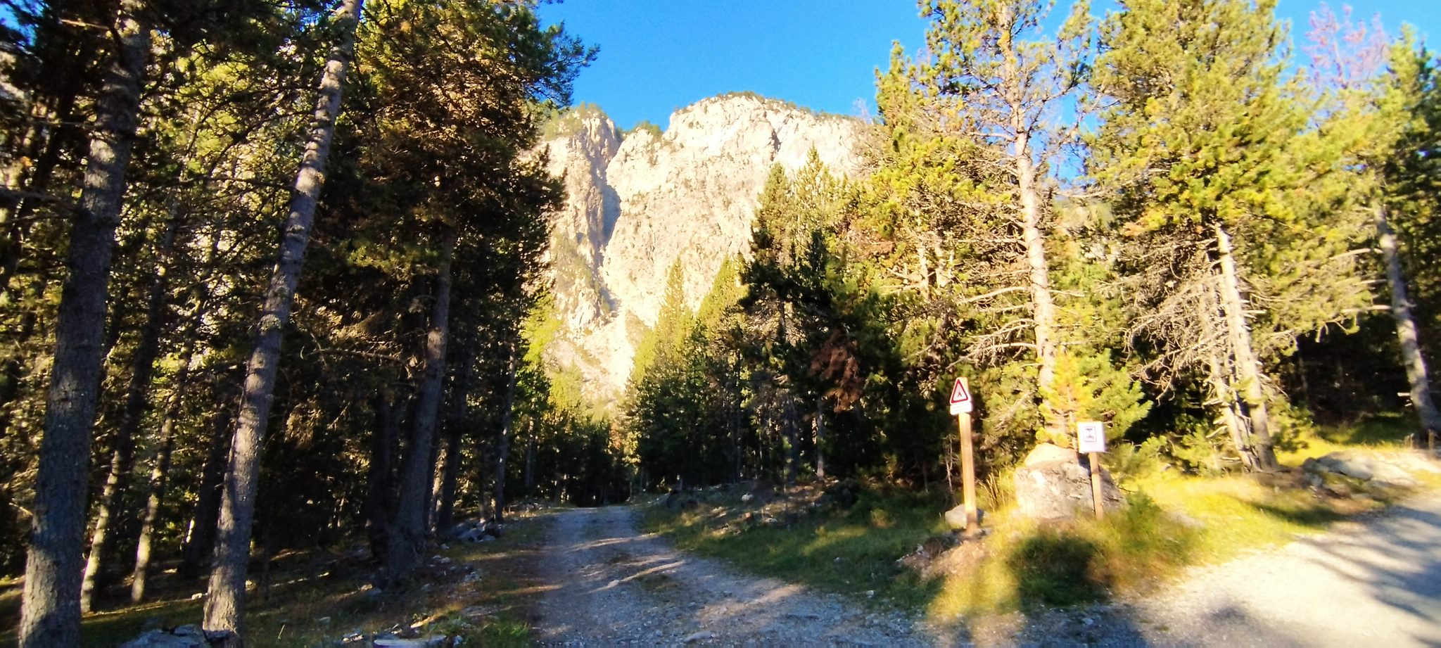 WEB IMG 20220829 080251