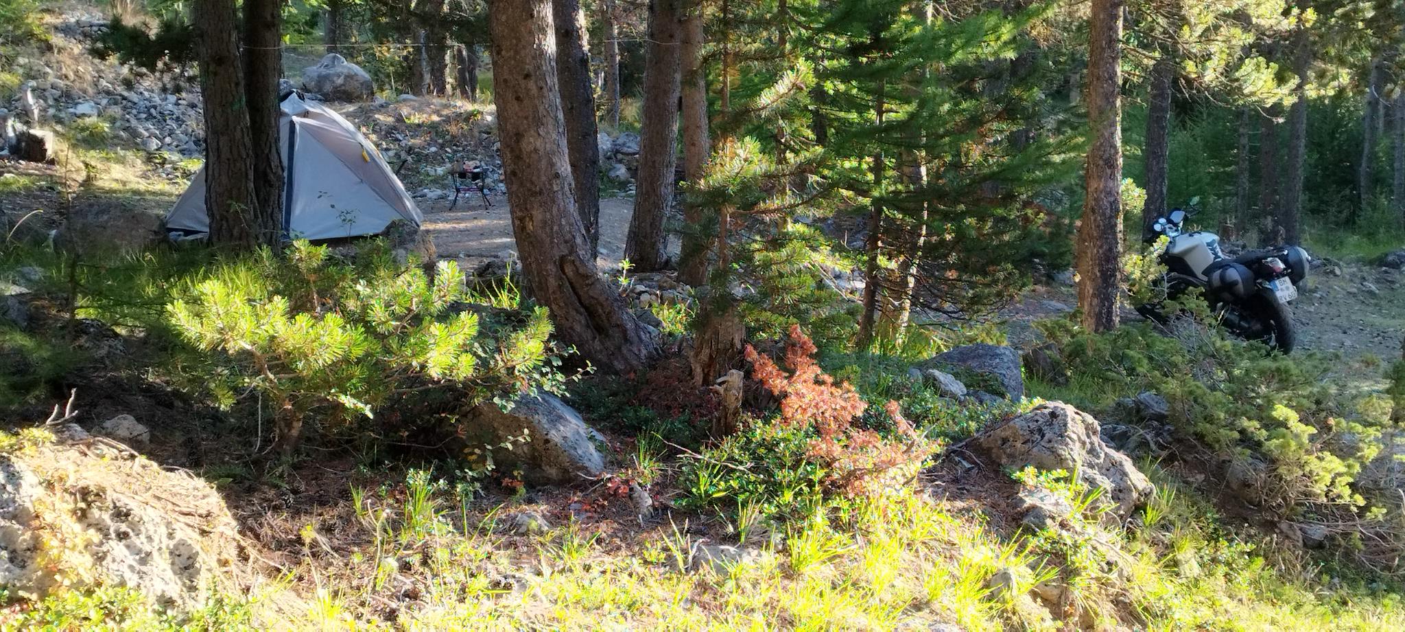 WEB IMG 20220829 080352