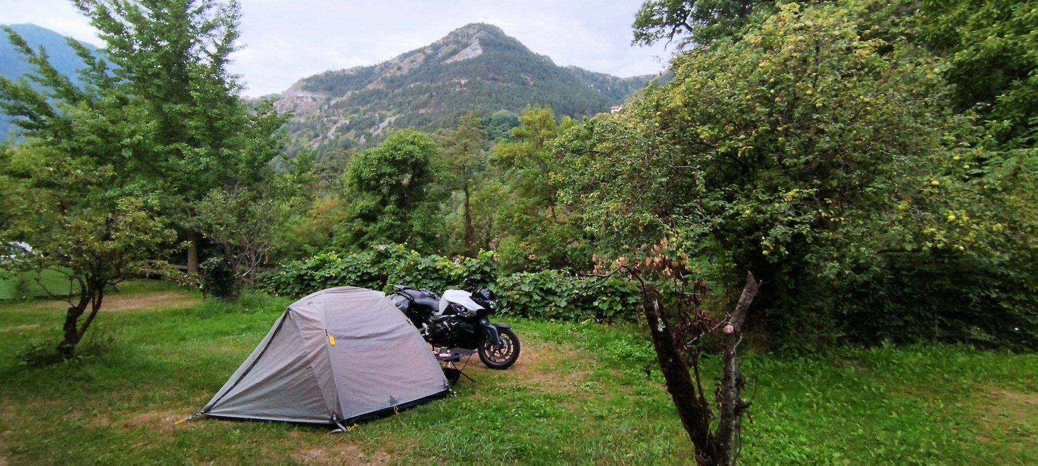 WEB IMG 20220830 071242