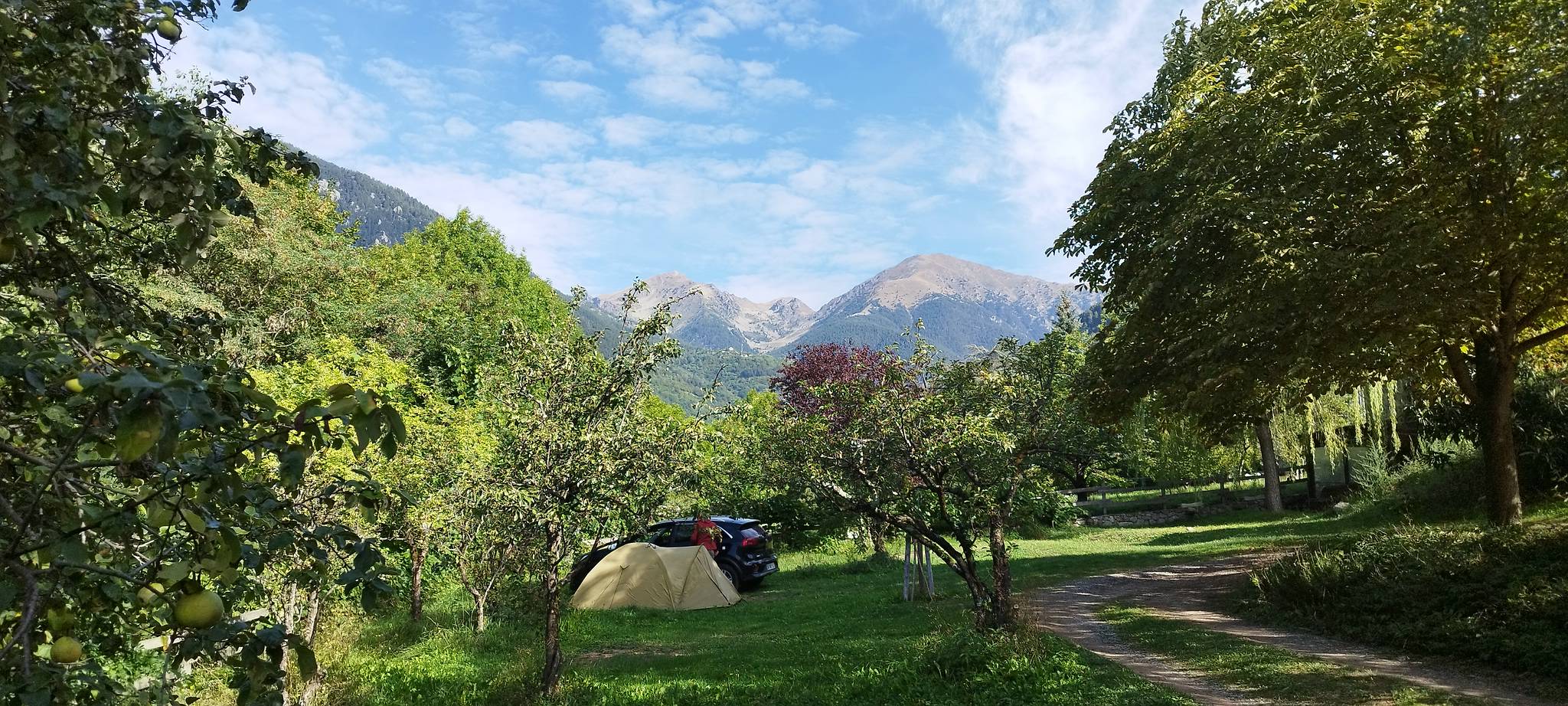 WEB IMG 20220830 094149