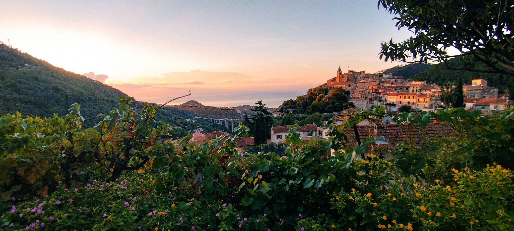 WEB IMG 20220831 071015