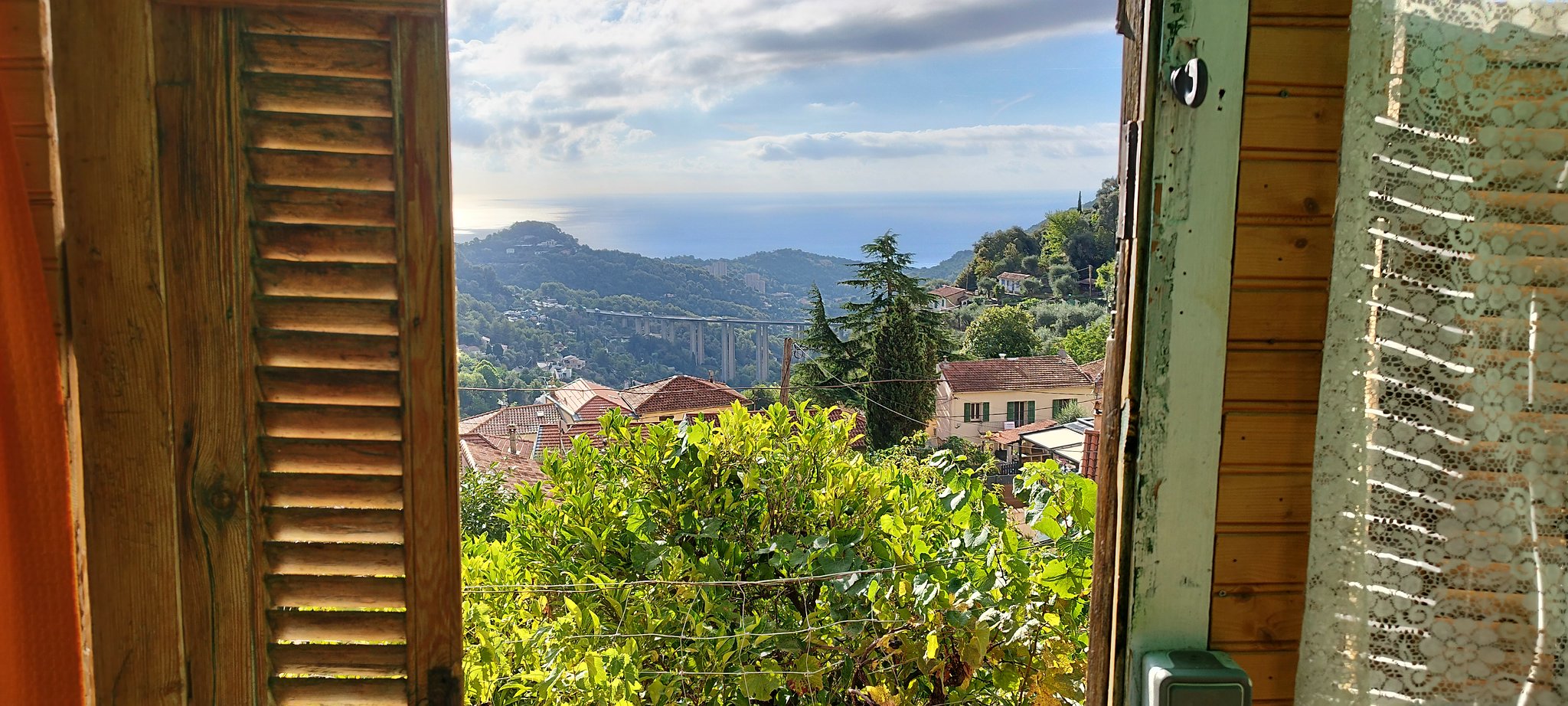 WEB IMG 20220831 084957