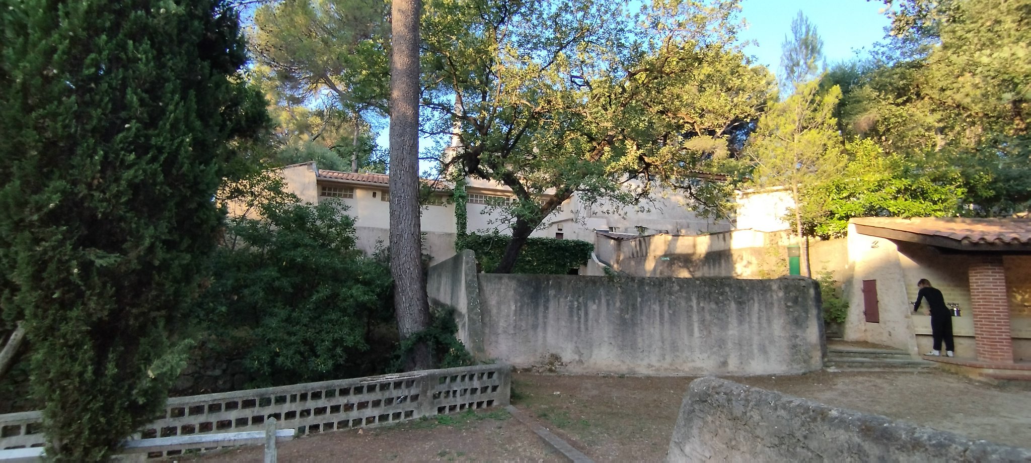 WEB IMG 20220901 075713