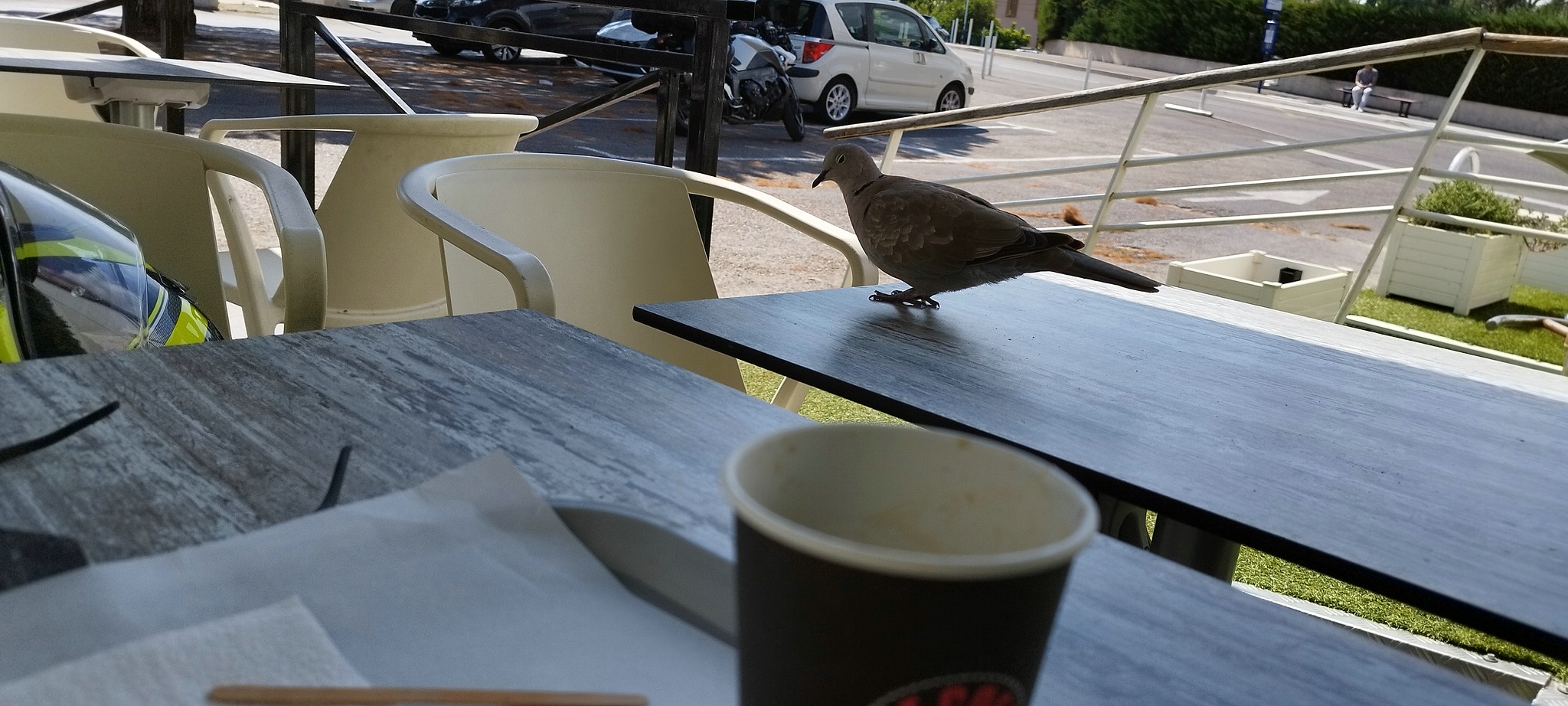 WEB IMG 20220901 142854