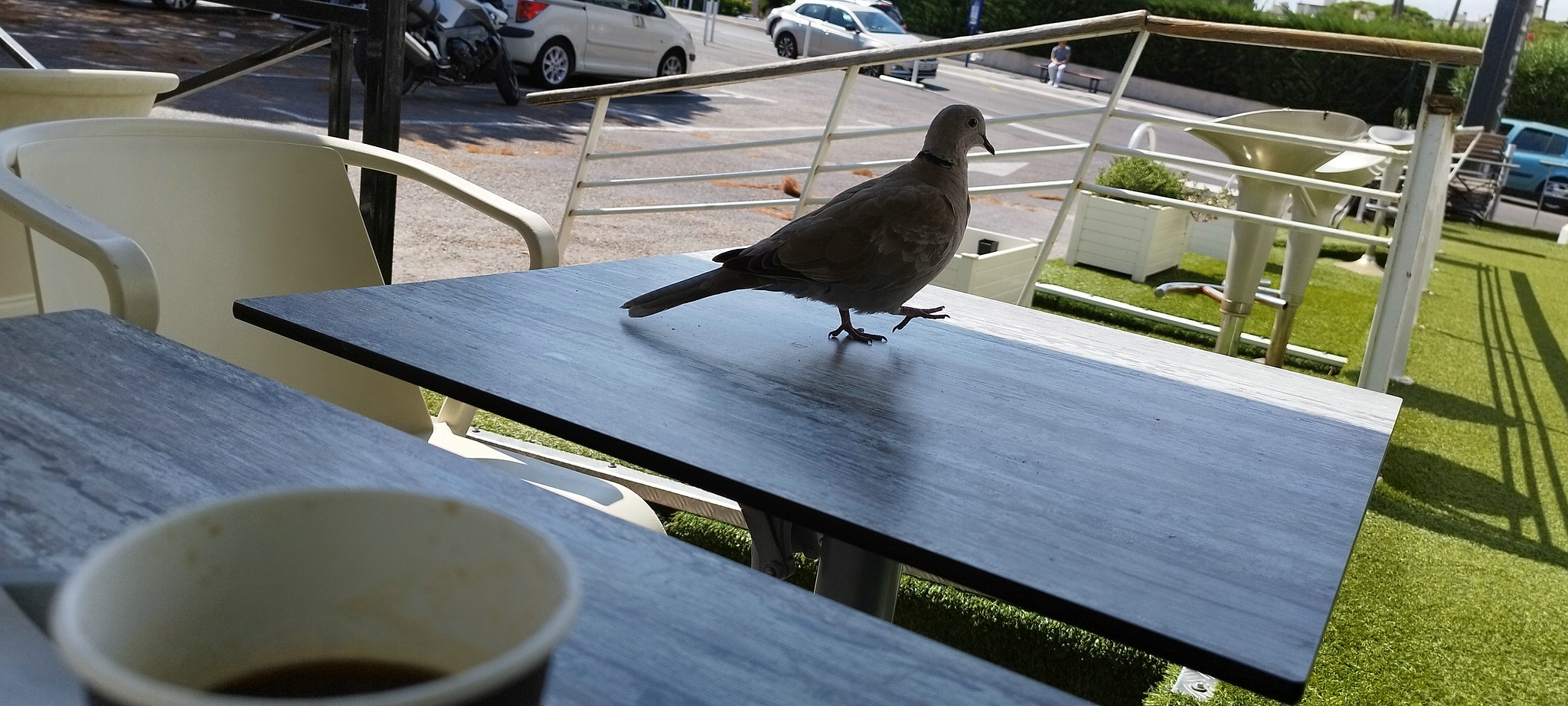 WEB IMG 20220901 142858