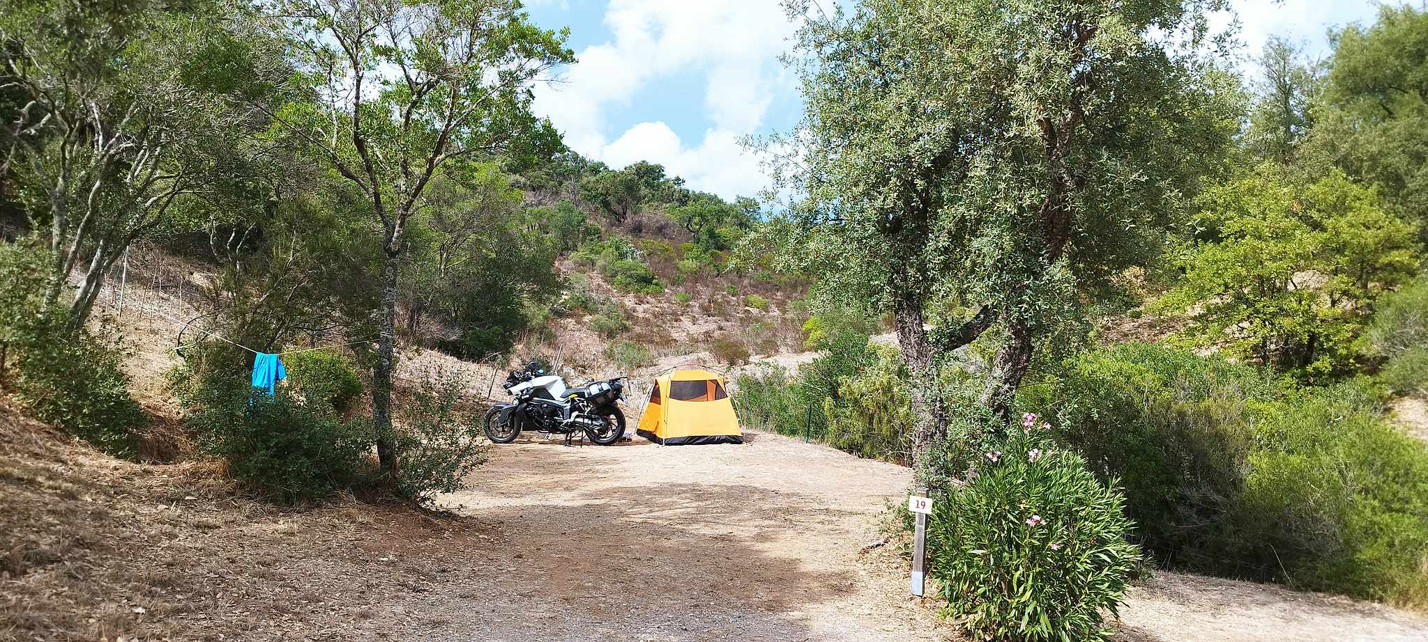 WEB IMG 20220902 153134