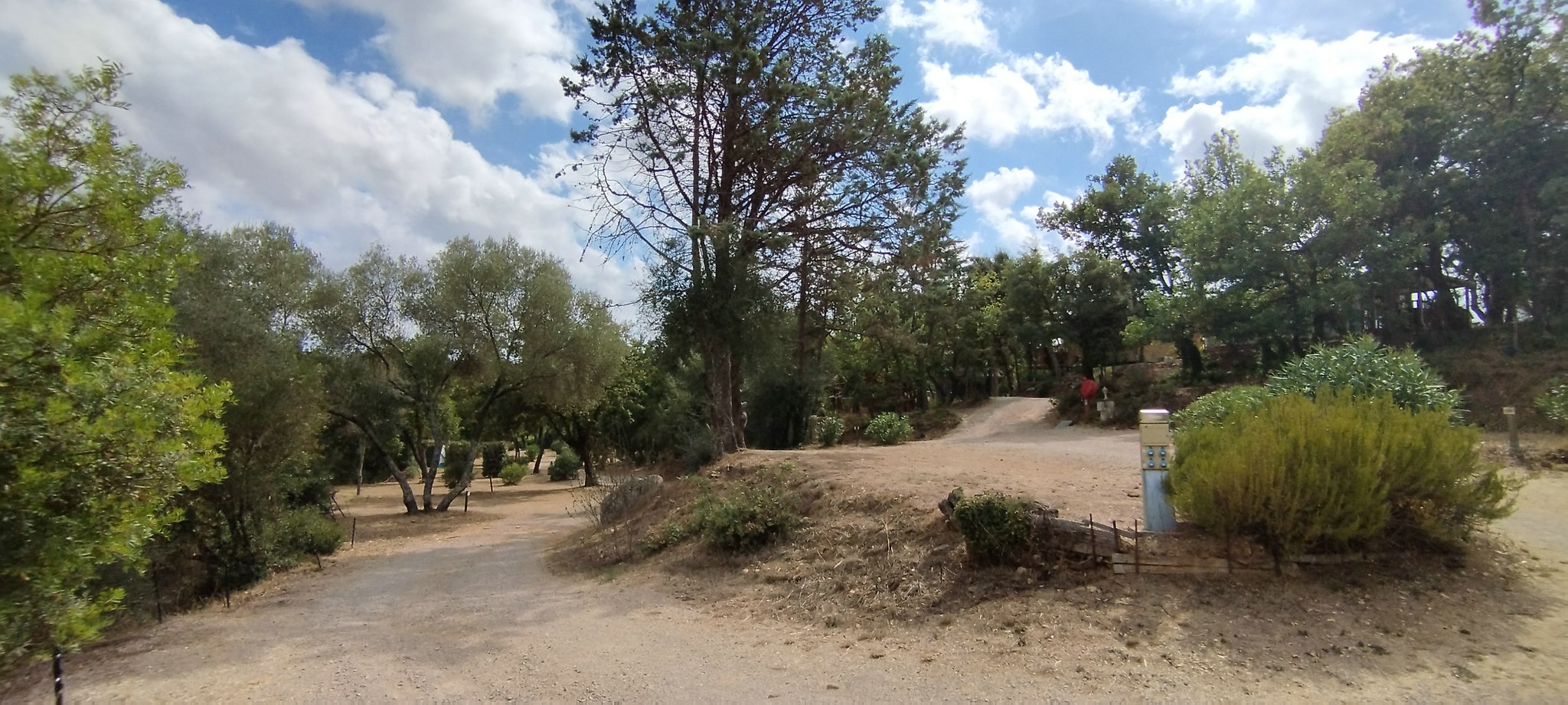 WEB IMG 20220902 153150