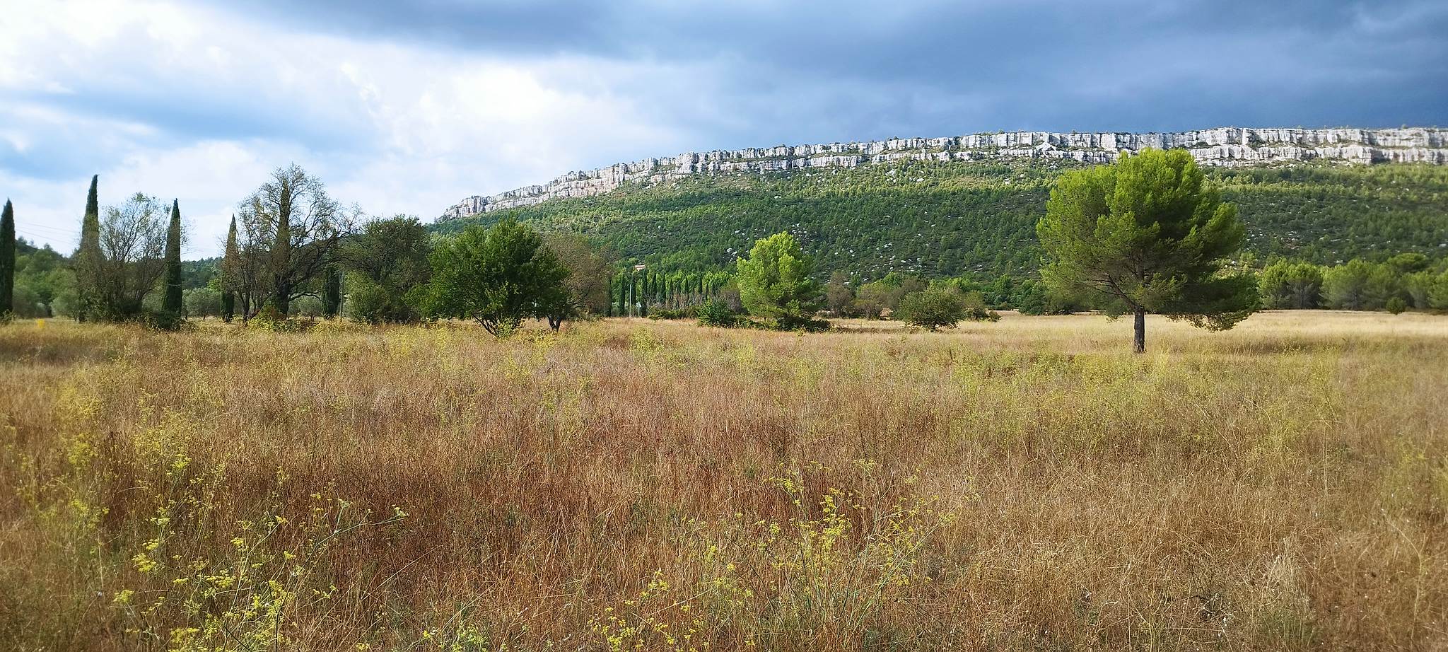 WEB IMG 20220903 172128