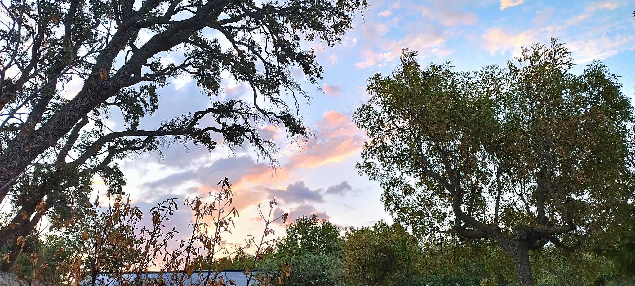 WEB IMG 20220904 071702