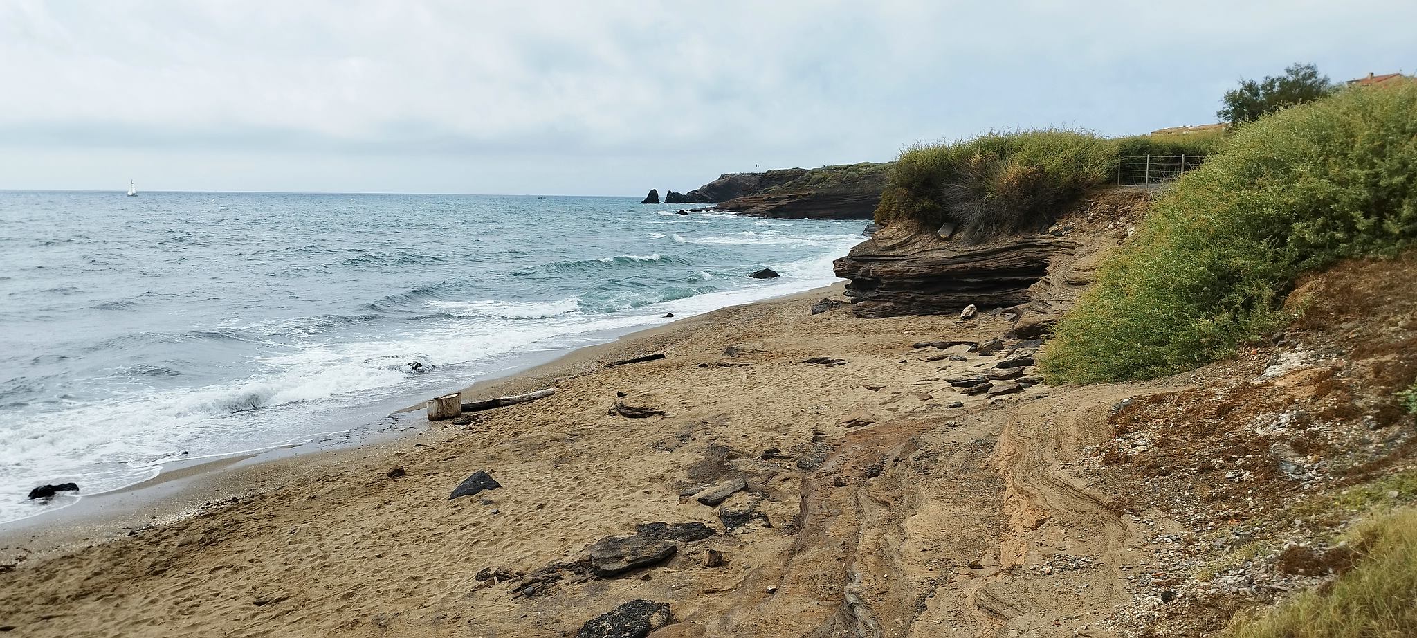 WEB IMG 20220905 121936