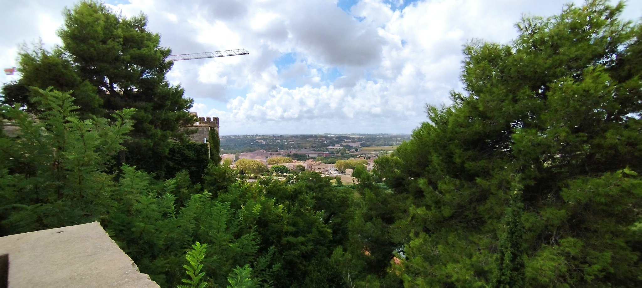 WEB IMG 20220906 125021