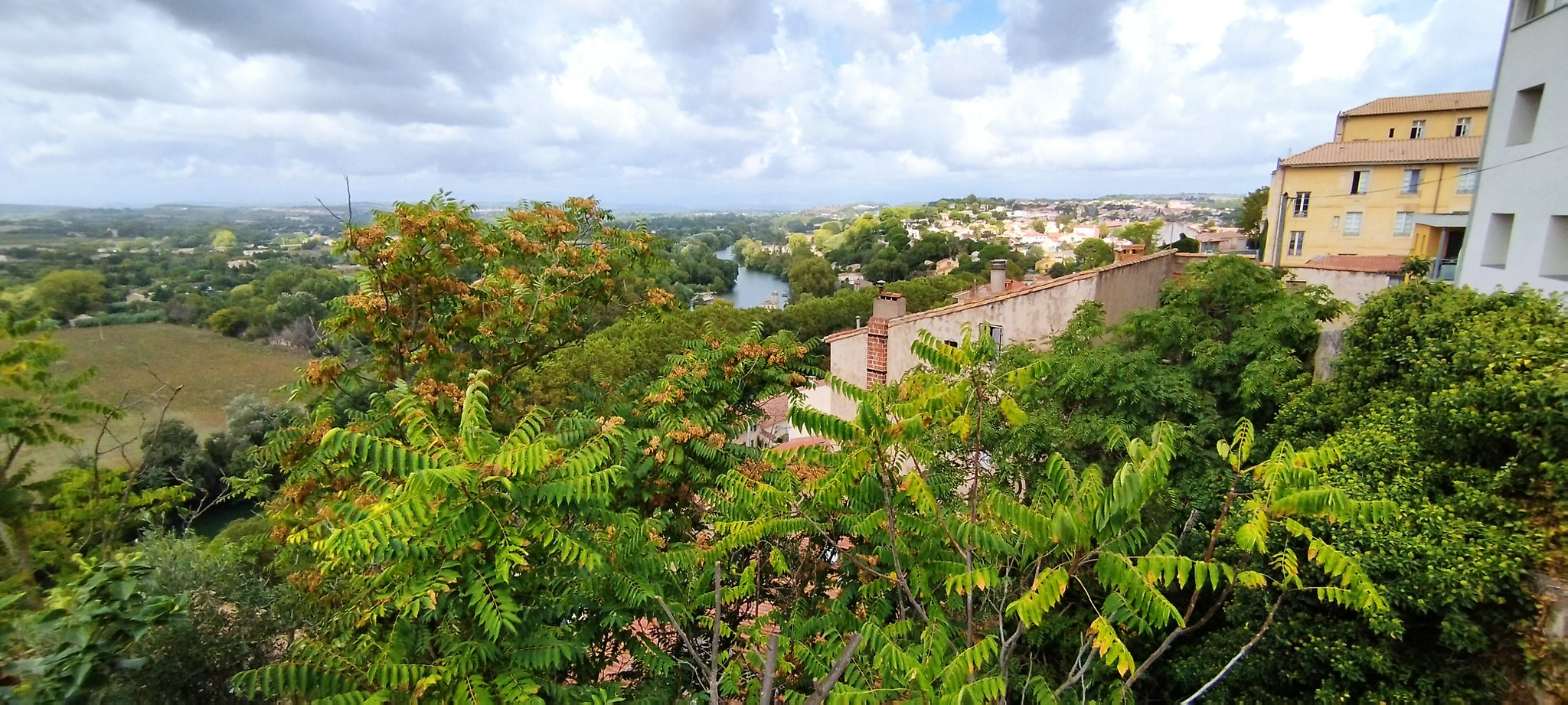 WEB IMG 20220906 125119