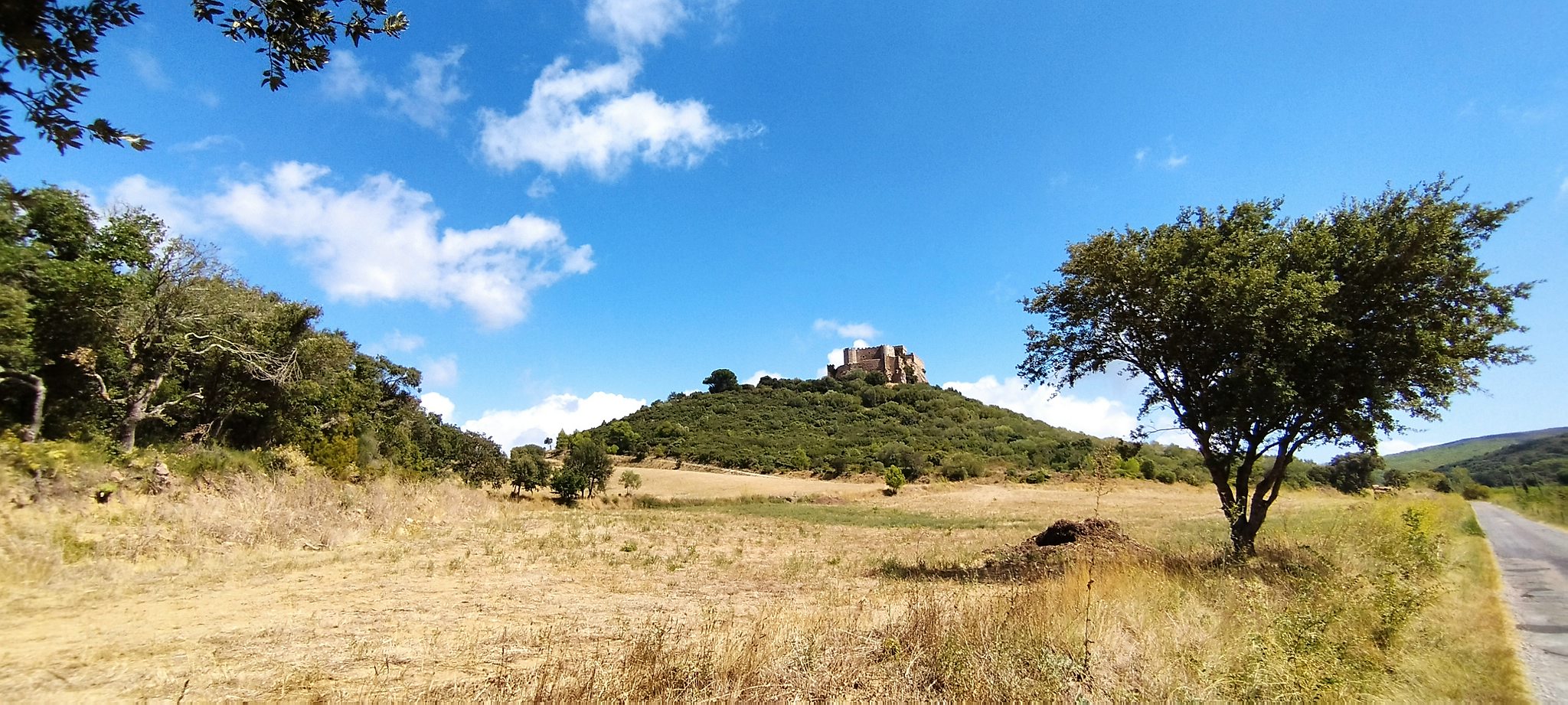 WEB IMG 20220906 140536