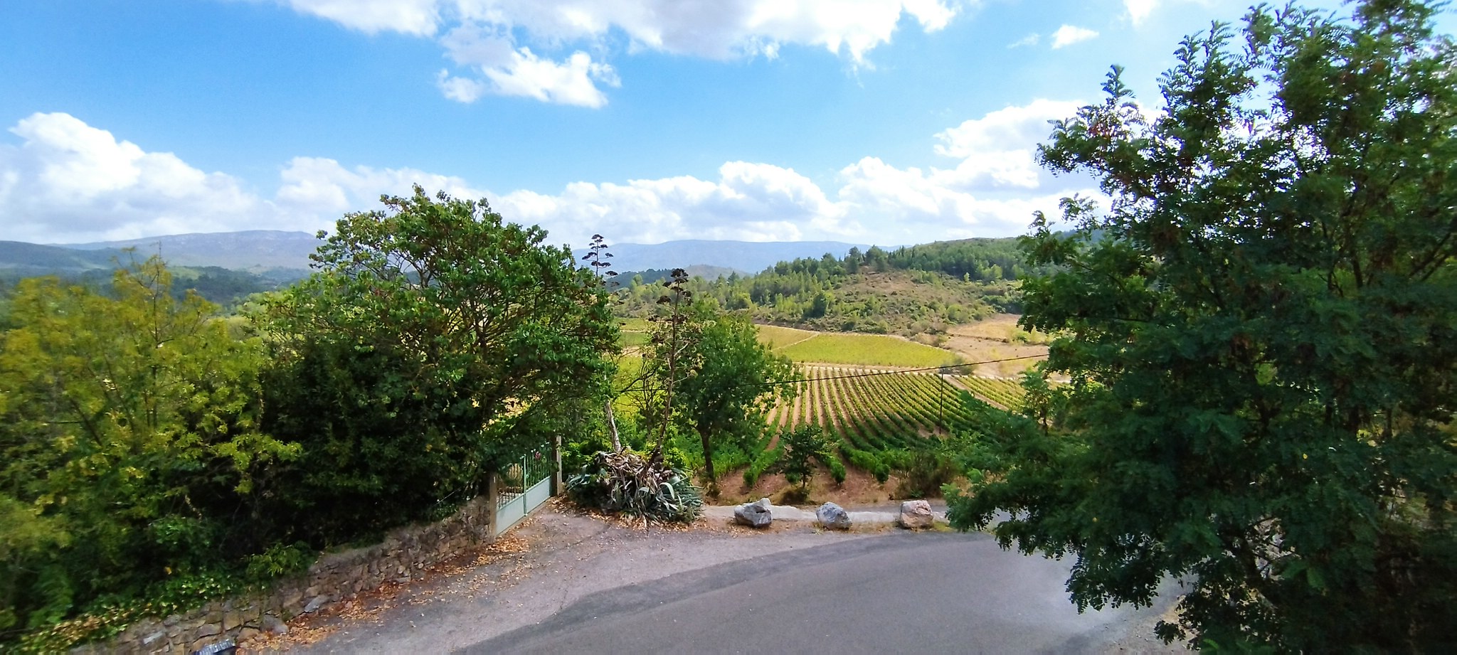 WEB IMG 20220906 150341