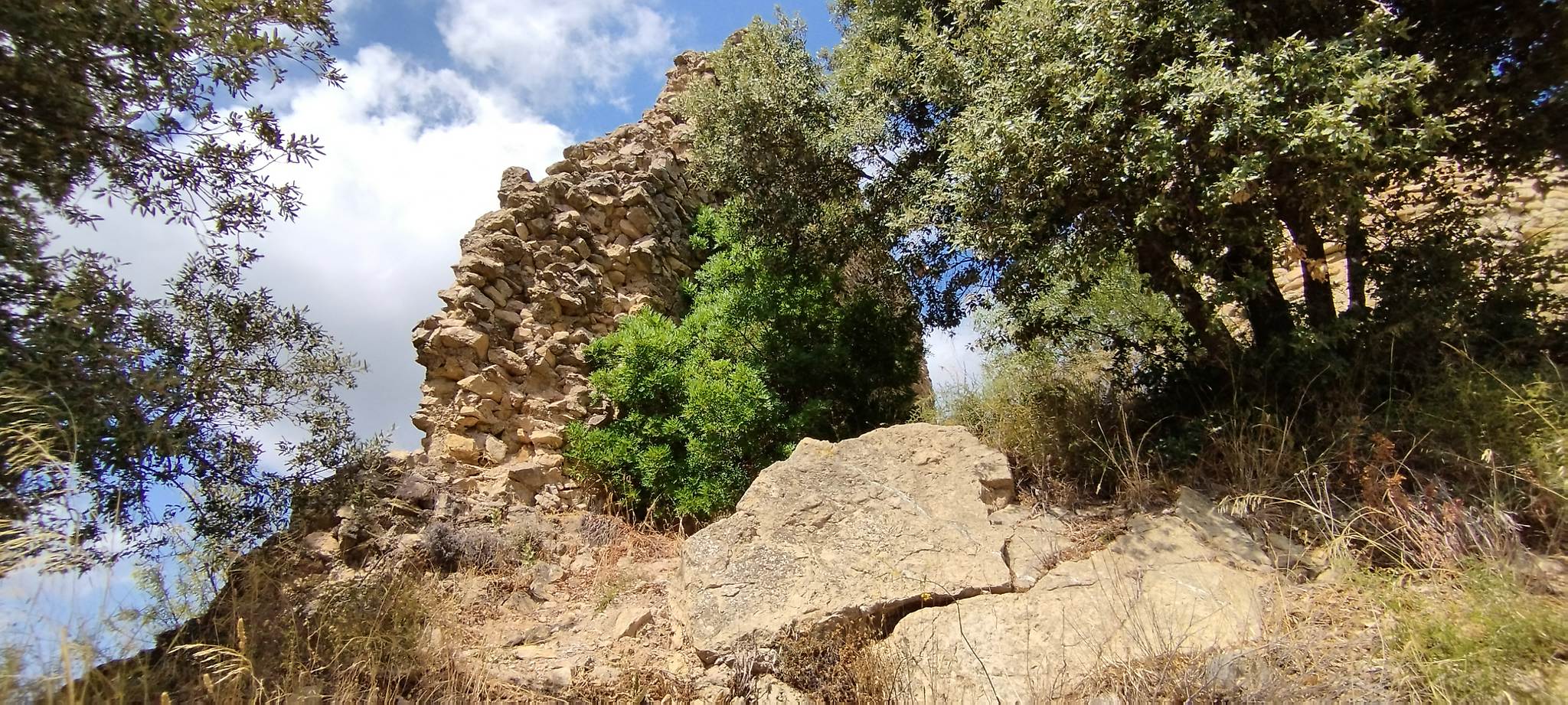 WEB IMG 20220906 150436