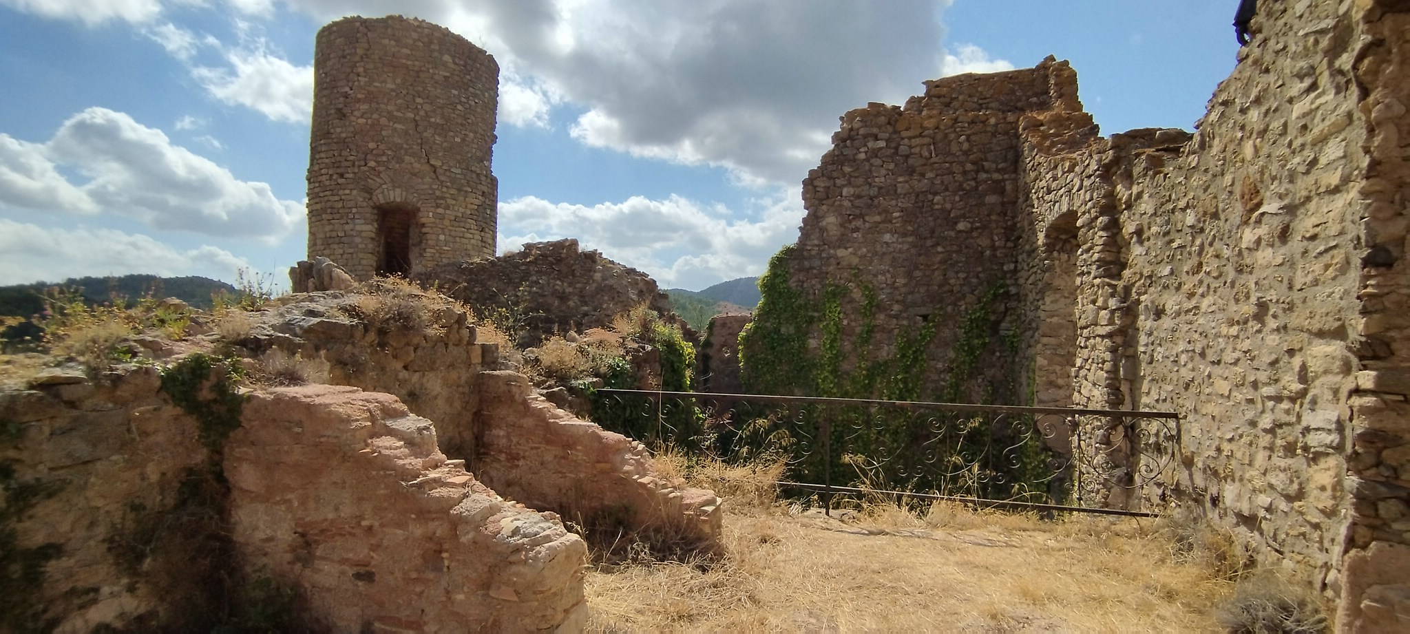 WEB IMG 20220906 150725