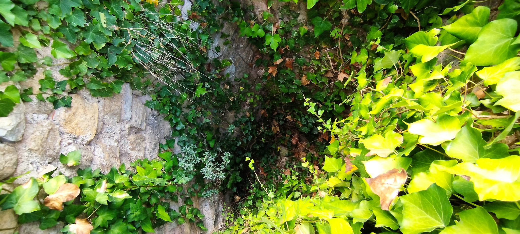 WEB IMG 20220906 151129