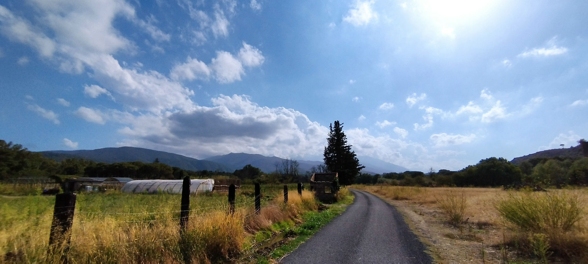 WEB IMG 20220906 165518