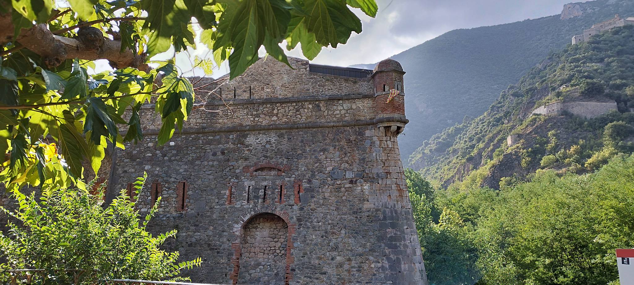 WEB IMG 20220906 173425