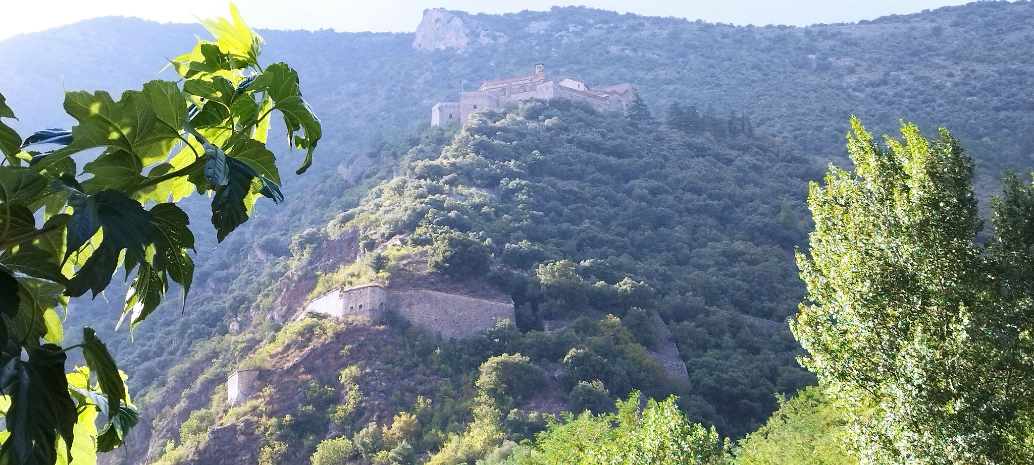 WEB IMG 20220906 173802