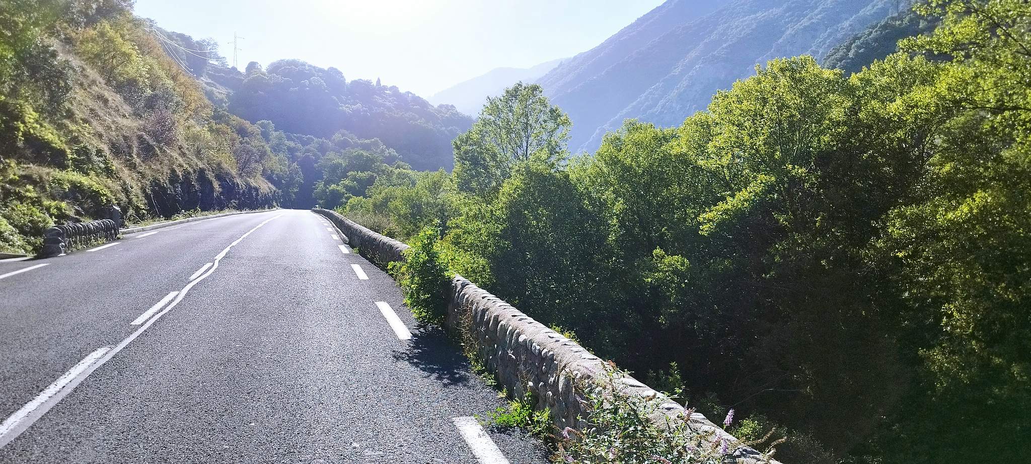 WEB IMG 20220906 180233