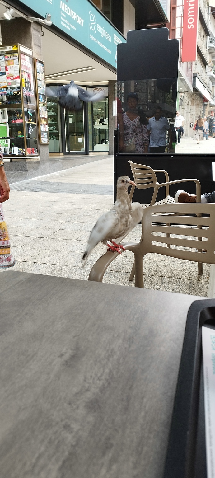 WEB IMG 20220907 151840