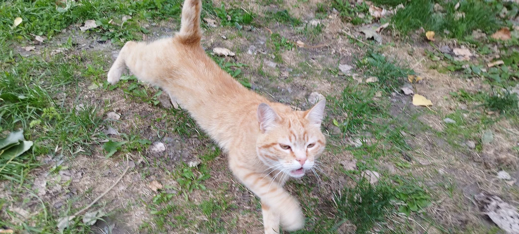 WEB IMG 20220907 193142