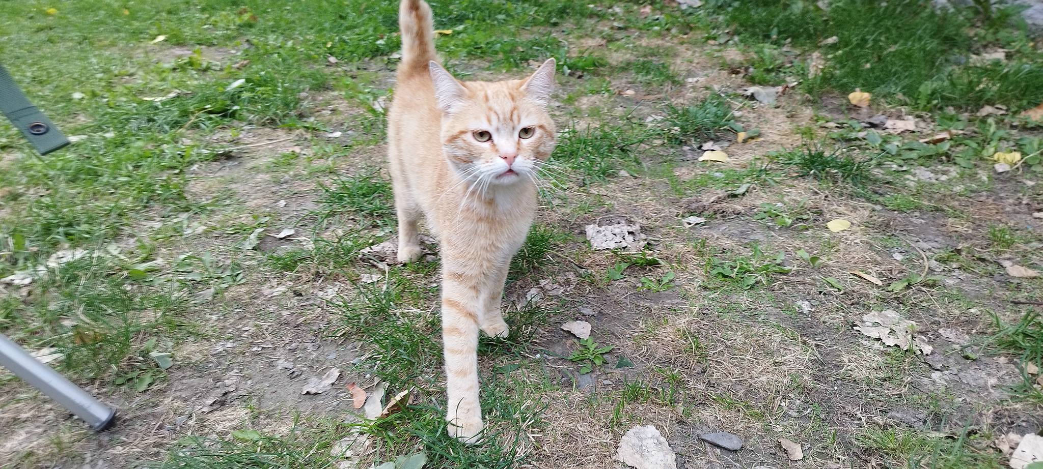 WEB IMG 20220907 193159