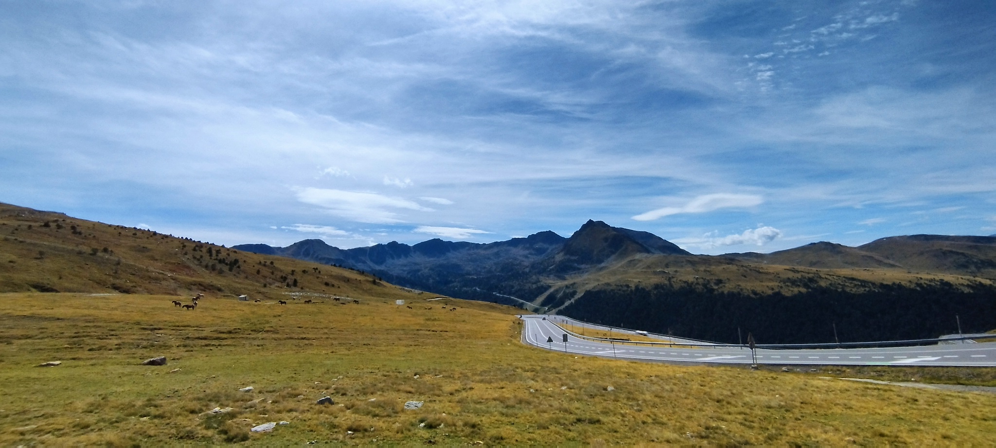 WEB IMG 20220908 153539